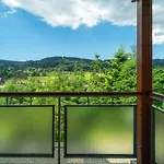 Apartamenty Viva Maria Apart Zakopane Spa Z Basenem, Jacuzzi I Parkingiem
