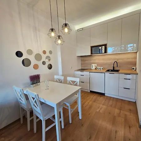 Vivaapart Rodzinne Z Basenem I Widokiem Na Giewont Апартаменты