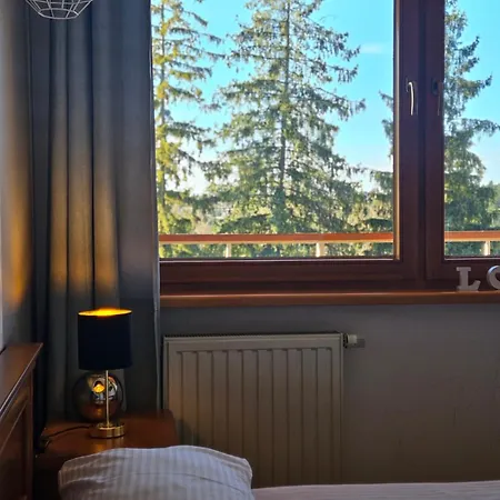 Vivaapart Rodzinne Apartamenty Z Basenem I Widokiem Na Giewont Zakopane